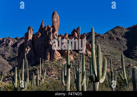 La superstition, montagnes, Arizona, USA, Amérique, cactus, des rochers, paysage Banque D'Images