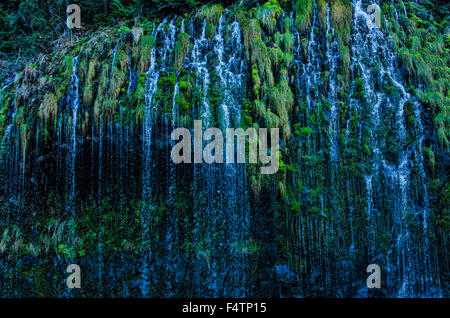 Mossbrae falls, dunsmuir, Californie, USA, Amérique latine, cascade, paysage Banque D'Images