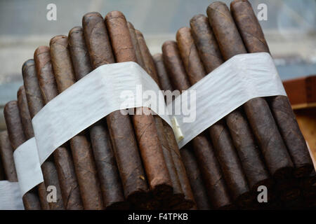 Moody, artistique et nostalgique de voir des cigares cubains roulés à la main et livrés empilés dans cigar factory store window Banque D'Images