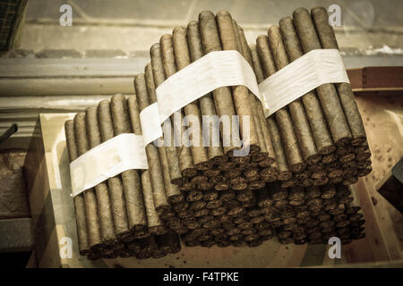 Moody, artistique et nostalgique de voir des cigares cubains roulés à la main et livrés empilés dans cigar factory store window Banque D'Images