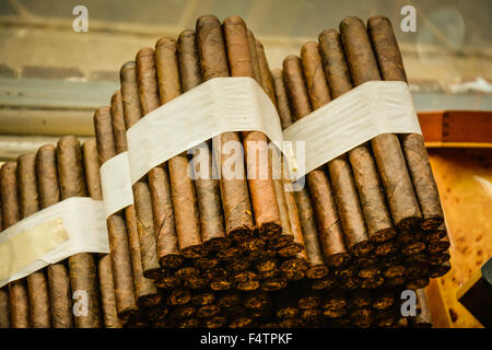 Moody, artistique et nostalgique de voir des cigares cubains roulés à la main et livrés empilés dans cigar factory store window Banque D'Images