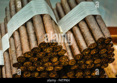 Moody, artistique et nostalgique de voir des cigares cubains roulés à la main et livrés empilés dans cigar factory store window Banque D'Images