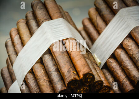 Moody, artistique et nostalgique de voir des cigares cubains roulés à la main et livrés empilés dans cigar factory store window Banque D'Images