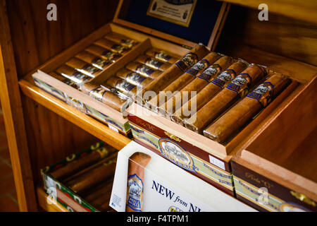 Un assortiment de cigares faits à la main sur l'affichage en magasin à Ybor City, FL, l'ancien "capitale mondiale du cigare", près de Tampa, Floride Banque D'Images