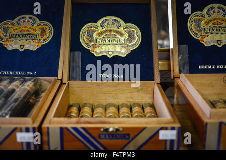 Un assortiment de cigares faits à la main sur l'affichage en magasin à Ybor City, FL, l'ancien "capitale mondiale du cigare", près de Tampa, Floride Banque D'Images