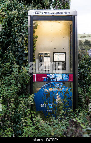 Une boîte de téléphone BT en milieu rural Dorset, Angleterre. Banque D'Images