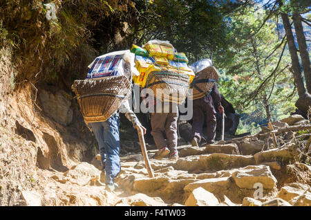 Porteurs transportant de lourdes à charger une voie ascendante au-dessus de Namche Bazar (3,440 m), la base pour le trekking et l'alpinisme en solo Banque D'Images