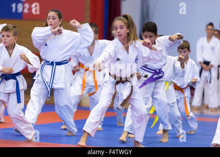 Thessalonique, Grèce, Oktober18 2015 : Démonstration par les hommes et femmes facultés des arts martiaux traditionnels japonais, le judo, carat Banque D'Images