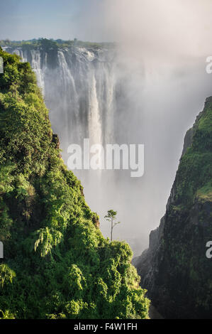 VICTORIA FALLS, AU ZIMBABWE, l'Afrique - Victoria Falls (Mosi-oa-Tunya) , plus grande cascade , sur la rivière Zambèze Banque D'Images