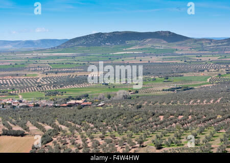 Petite ville typique dans La Mancha, en Espagne. Photo prise dans la province de Ciudad Real Banque D'Images