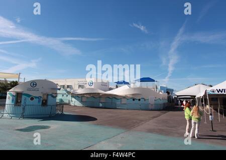 Clearwater, Floride, USA. Dec 23, 2013. L'Aquarium de Clearwater où la vie marine rescue center est le foyer de l'hiver, dolphin star et l'inspiration du Dolphin Tale des films à succès et Dolphin Tale 2, à la fois tourné en extérieur. Le centre est spécialisé dans le sauvetage, la réhabilitation et la libération des dauphins et autres animaux marins. © Ruaridh Stewart/ZUMA/ZUMAPRESS.com/Alamy fil Live News Banque D'Images