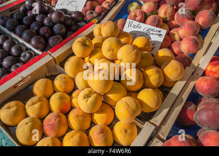 Les étals de marché , Siena, Toscane, Italie, Europe Banque D'Images