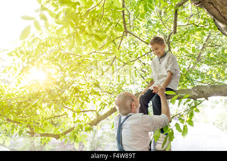 Aider grand-père petit-fils on tree branch Banque D'Images