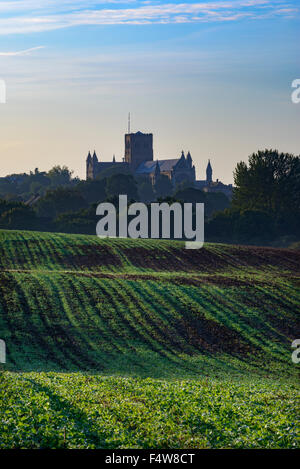 La Cathédrale de St Albans, à l'aube, St Albans, Hertfordshire, Royaume-Uni Banque D'Images