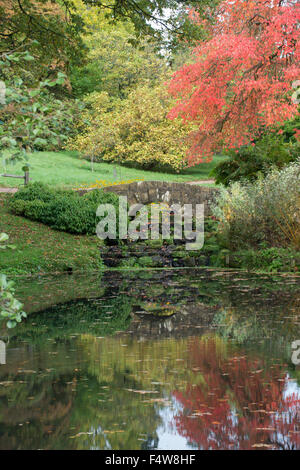 Couleurs d'automne, Wakehurst Place, Sussex, Angleterre Banque D'Images