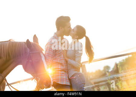 Couple affectueuse à côté de cheval dans sunny rural pasture Banque D'Images