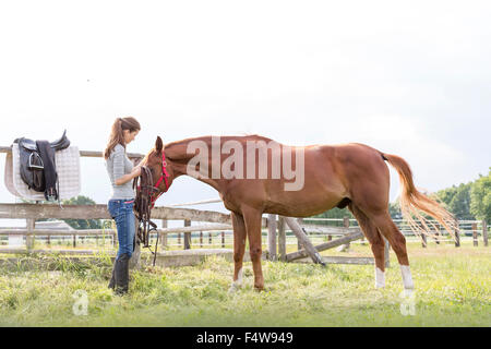 Femme préparant pour l'équitation de cheval rural pasture Banque D'Images