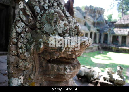 Statue tête de lion détail à Preah Khan, temple Angkor Khmer de complexe dans le sud-est asiatique. Banque D'Images