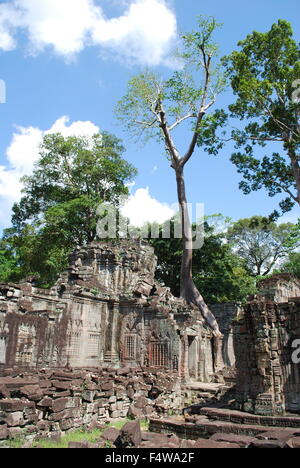 Les arbres croissant à travers temple de Preah Khan, temple Angkor Khmer de complexe dans Siem Reap, Cambodge Banque D'Images