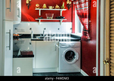 Lave-linge et d'un évier, dans un placard d'une maison Banque D'Images