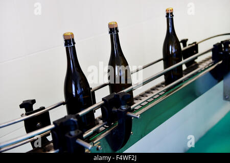 La production industrielle tourné avec des bouteilles de champagne sur le convoyeur à bande dans une usine Banque D'Images