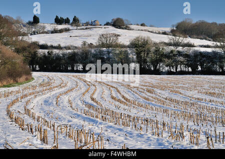 Neige dans un champ de chaume à Naish Hill, Wiltshire. Banque D'Images