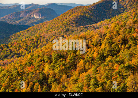 Feuillage de l'automne au lever du soleil dans le Parc National de Blue Ridge Pounding Mill donnent sur l'extérieur de Asheville, Caroline du Nord. Banque D'Images