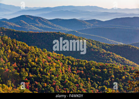 Feuillage de l'automne au lever du soleil dans le Parc National de Blue Ridge Pounding Mill donnent sur l'extérieur de Asheville, Caroline du Nord. Banque D'Images