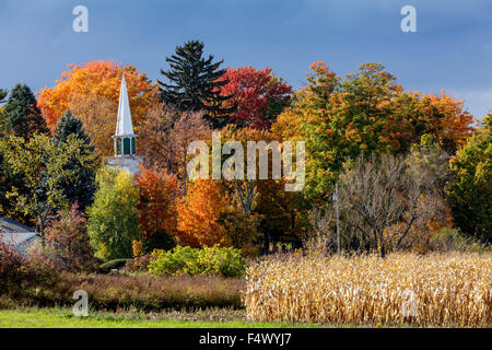 Feuillage d'automne, la vallée de la Mohawk, New York State, USA Banque D'Images