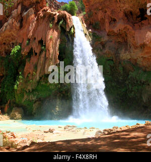 Havasu falls dans la région de Havasupai le Grand Canyon en Arizona Banque D'Images