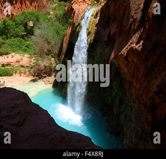 Havasu falls dans la région de Havasupai le Grand Canyon en Arizona Banque D'Images