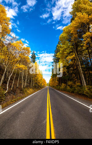 La route 158 dans la partie Est de la Sierra Nevada de Californie appelé le Lac Juin boucle. Banque D'Images