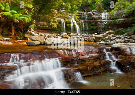 Liffey Falls dans le Great Western Tiers. Banque D'Images