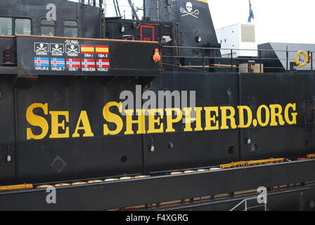 Le Steve Irwin Sea Shepherd Navire Anti-Whaling à Barcelone, Espagne, Europe. Banque D'Images