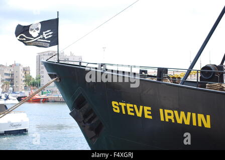 Le Steve Irwin Sea Shepherd Navire Anti-Whaling à Barcelone, Espagne, Europe. Banque D'Images