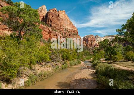 Virgin River près de Emerald Pools Trail, Zion NP, Utah, USA Banque D'Images