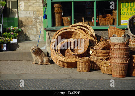 Les paniers en osier à l'extérieur de la boutique et petit chien en milieu rural traditionnel Burford High Street, Cotswolds, Oxfordshire, Angleterre Banque D'Images