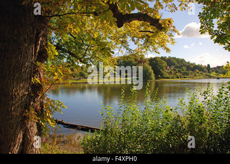 Boisé près du lac et le château de Leeds à l'automne dans le Kent, Angleterre Banque D'Images