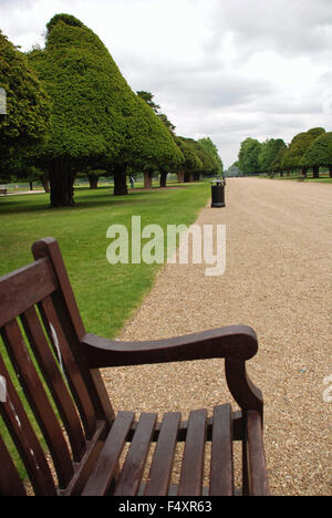 Belle boîte if et du banc de parc de Hampton Court Palace Gardens, London England Banque D'Images