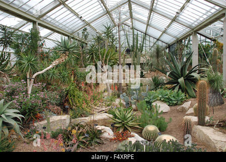 Diana Princess of Wales conservatory les Jardins botaniques royaux de Kew Gardens Londres Angleterre Banque D'Images