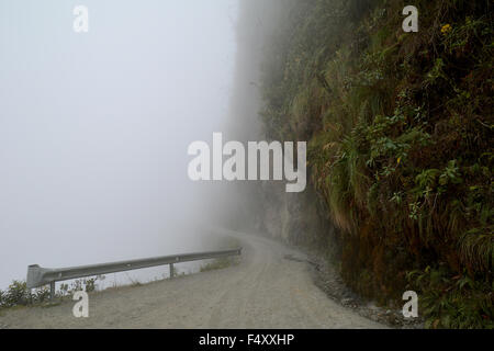 Route de la mort dans le brouillard, camino de la muerte, yungas north road entre la paz et Coroico, Bolivie Banque D'Images