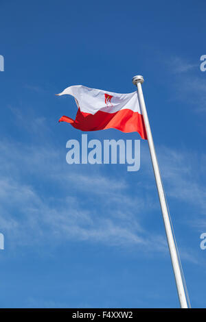 Drapeau national polonais dans le ciel. Banque D'Images