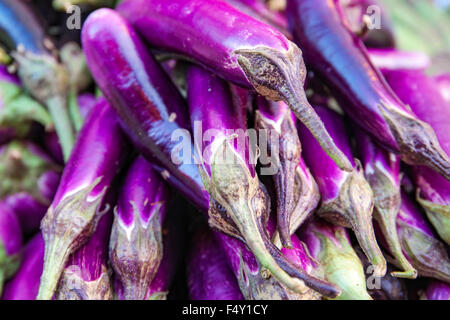 Violet aubergine brinjal longue ou la vente au marché local le dimanche. Focus sélectif avec une faible profondeur de champ. Banque D'Images