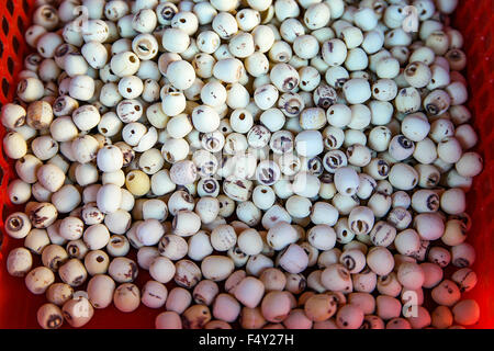 Close up herbe chinoise de l'orge perlé au marché local le dimanche. L'accent a fait au centre et peu profondes 6. Banque D'Images