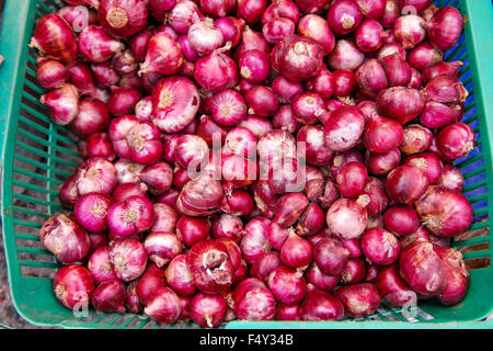 Oignons rouges la vente au marché local le dimanche. Focus sélectif avec une faible profondeur de champ. Banque D'Images