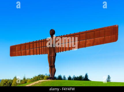 L'Ange de la sculpture du Nord par Antony Gormley, Gateshead, Tyne et Wear, Angleterre du Nord-Est, Royaume-Uni Banque D'Images