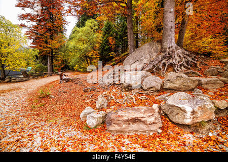 Autumn Park au premier plan les rochers et arbres aux couleurs magnifiques avec des feuilles rouges Banque D'Images