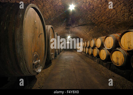 Vieux tonneaux de vin en bois dans une cave à vin Banque D'Images