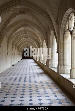 Cloître, Abbaye de Fontevraud Banque D'Images