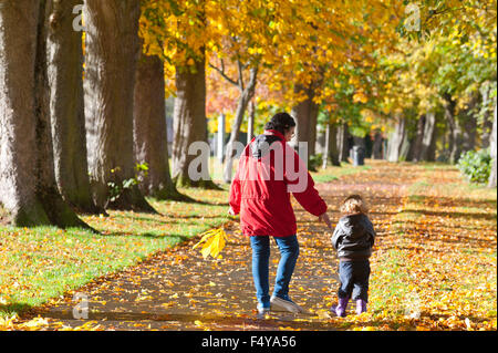 Builth Wells, Powys, au Royaume-Uni. 24 octobre, 2015. Une femme et un petit enfant promenade à travers une avenue de feuilles d'automne dans l'Groe recreation ground par la rivière Wye dans le petit bourg de Builth Wells. Credit : Graham M. Lawrence/Alamy Live News. Banque D'Images